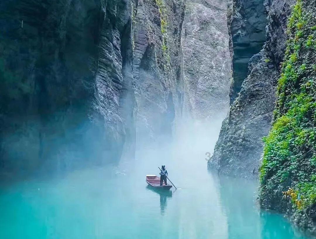 虫虫助手下载